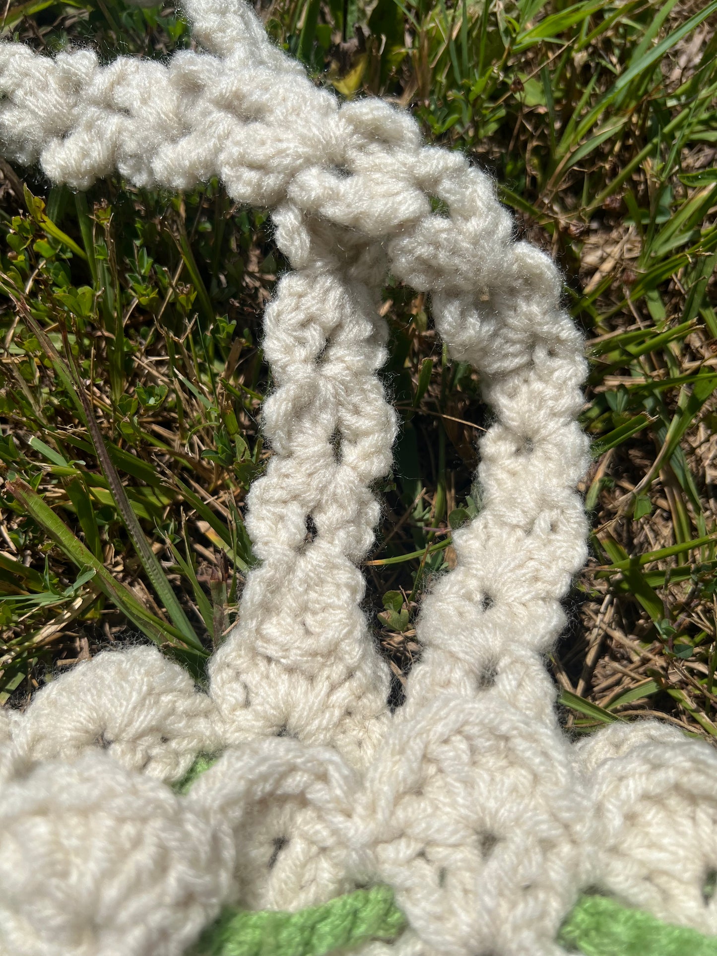 🌼 Pocket Full of Posies Crochet Crossbody Bag 🌿